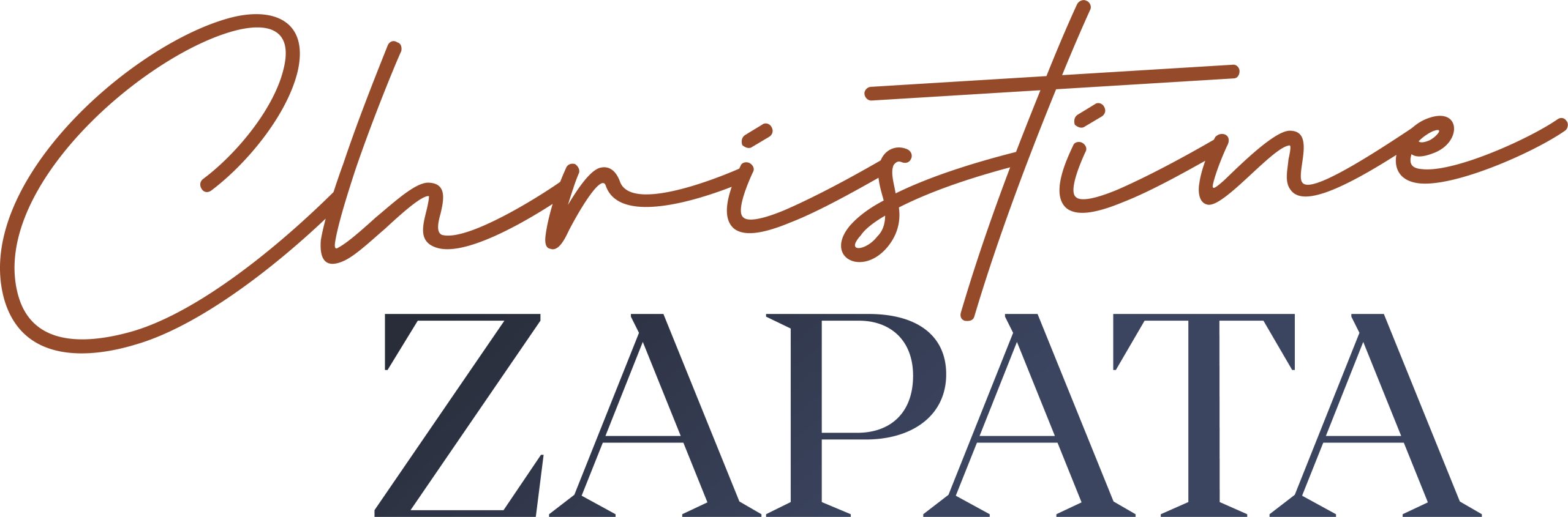 DCZ_logo_wordmark_color_compact